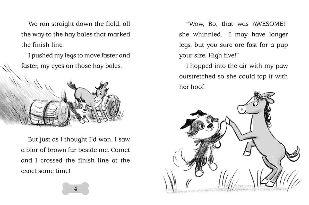 Snow Show by Cam Higgins: Paperback; 128 pages / English