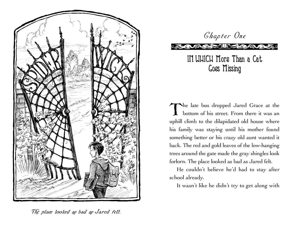 Seeing Stone by Tony DiTerlizzi: Hardcover; 128 pages / English