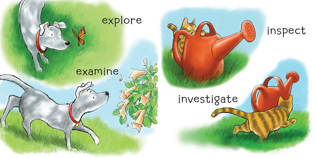 Adventure Awaits by Henry   Cole: Board Books; 26 pages / English