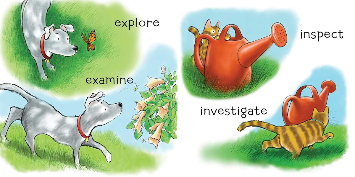 Adventure Awaits by Henry   Cole: Board Books; 26 pages / English