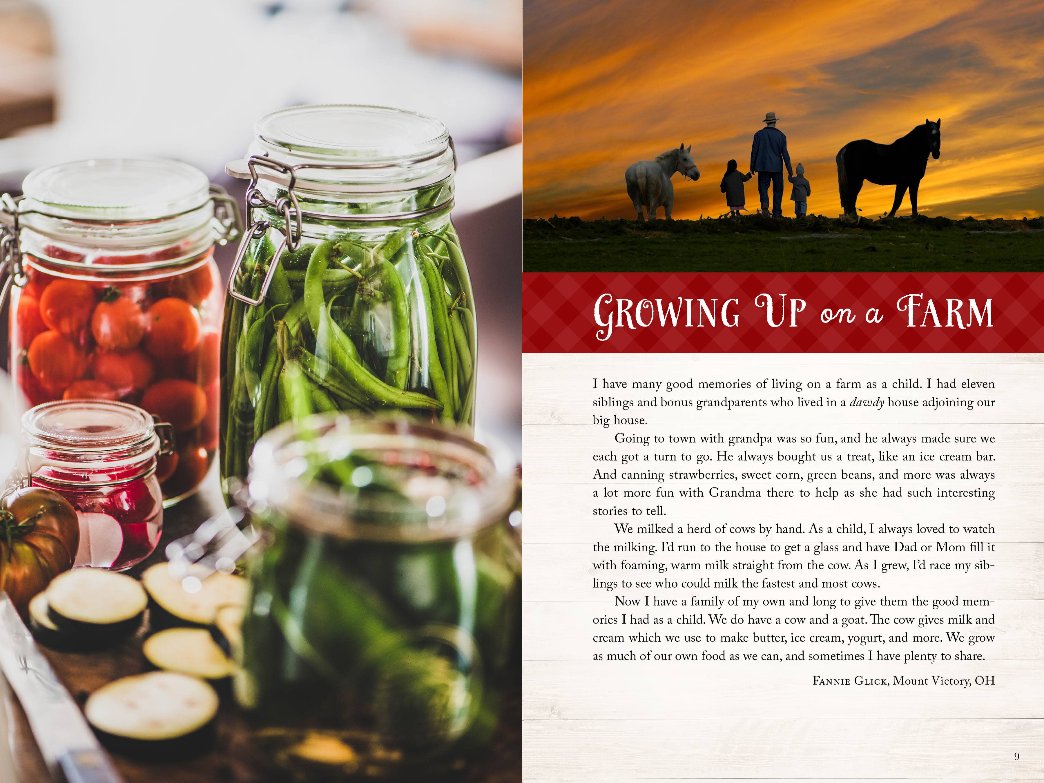 Wanda E. Brunstetter's Amish Friends Farm-to-Table Cookbook