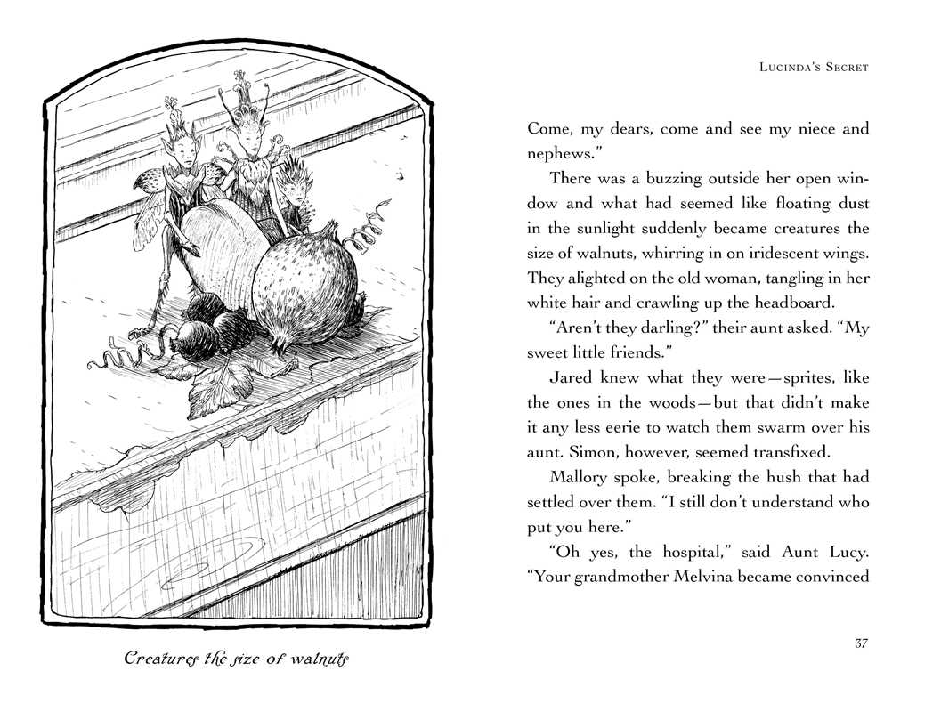 Lucinda's Secret by Tony DiTerlizzi: Paperback; 144 pages / English