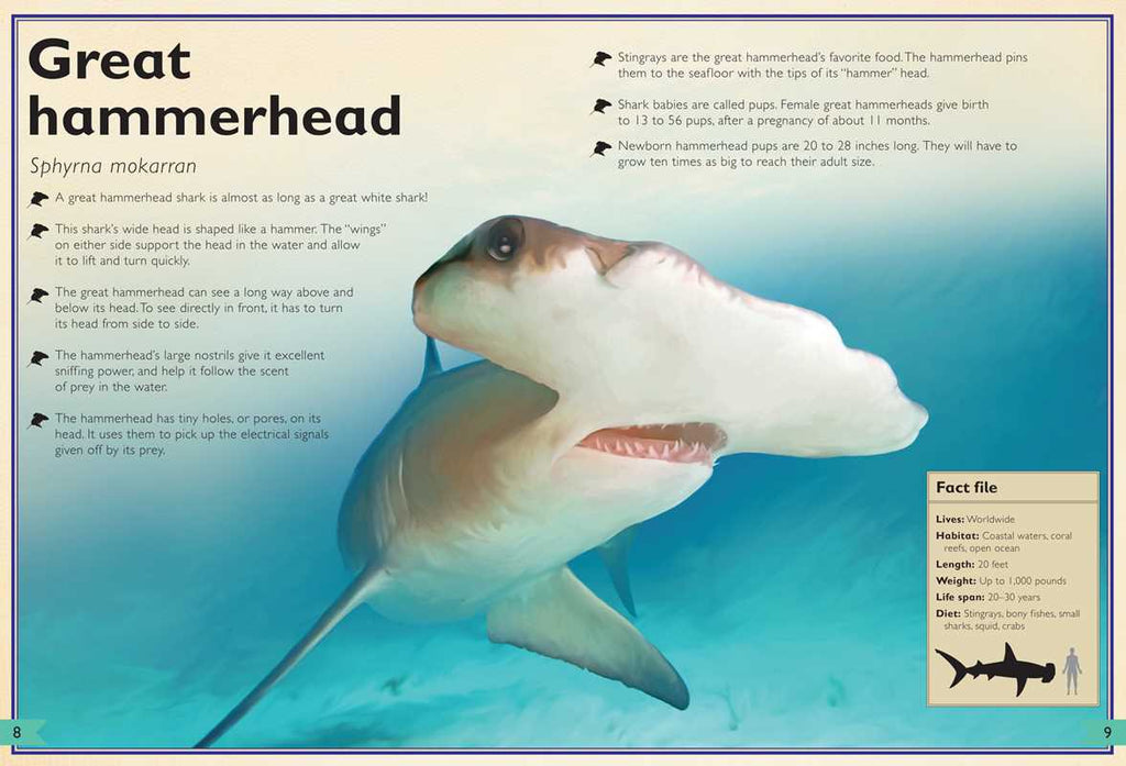 Magnificent Book of Sharks by Barbara Taylor: Hardcover; 80 pages / English