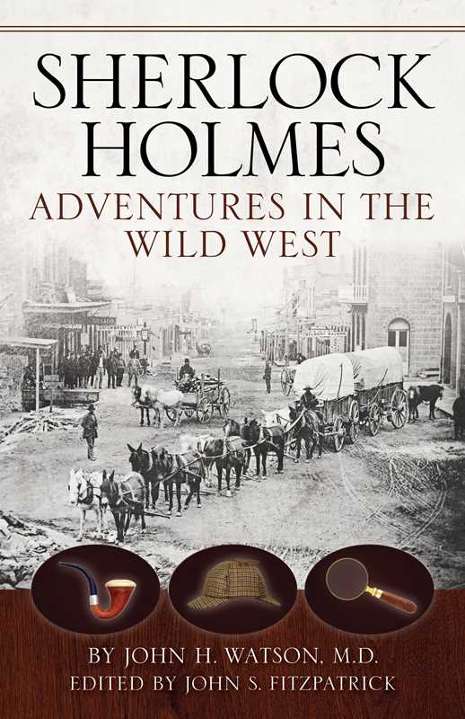 Sherlock Holmes by John S. Fitzpatrick: Paperback; 328 pages / English