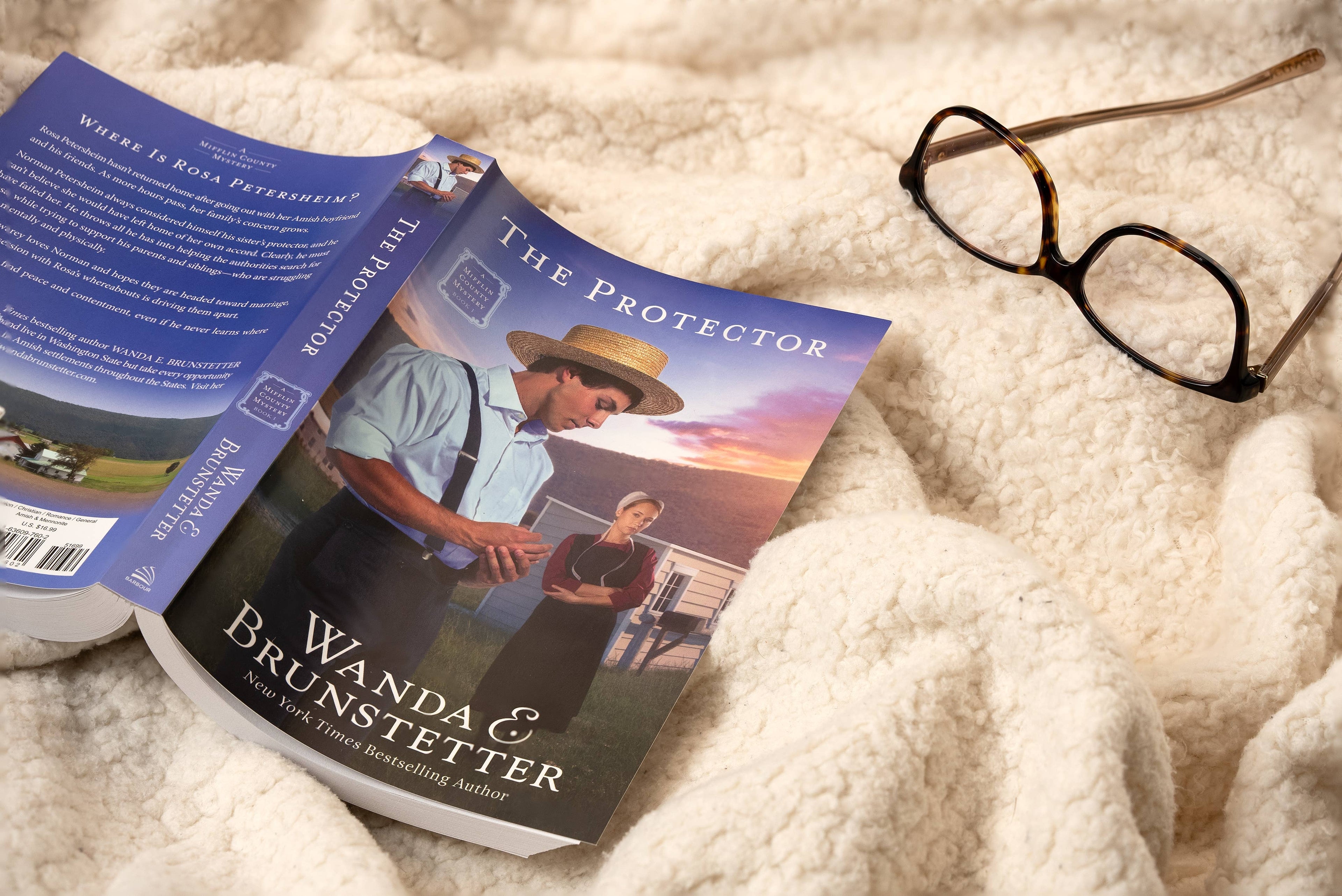 The Protector : A Mifflin County Mystery - Book 1