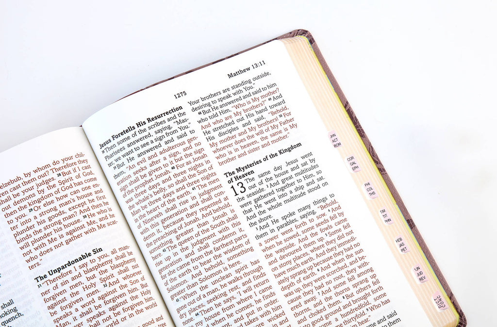 Barbour Simplified KJV--Large Print [Plum & Paisley]