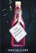 The Jezebel Remedy: A novel cover image