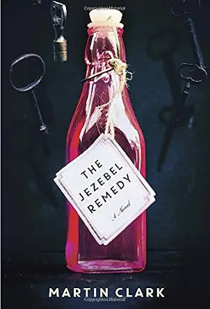 The Jezebel Remedy: A novel cover image