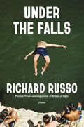 Under the Falls: A Novel cover image