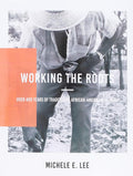 Working The Roots: Over 400 Years of Traditional African American Healing cover image