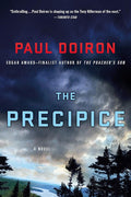 The Precipice: A Novel (Mike Bowditch Mysteries, 6) cover image