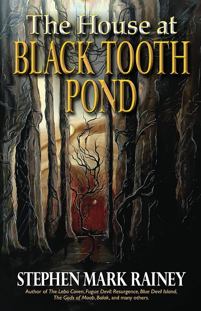 The House at Black Tooth Pond cover image