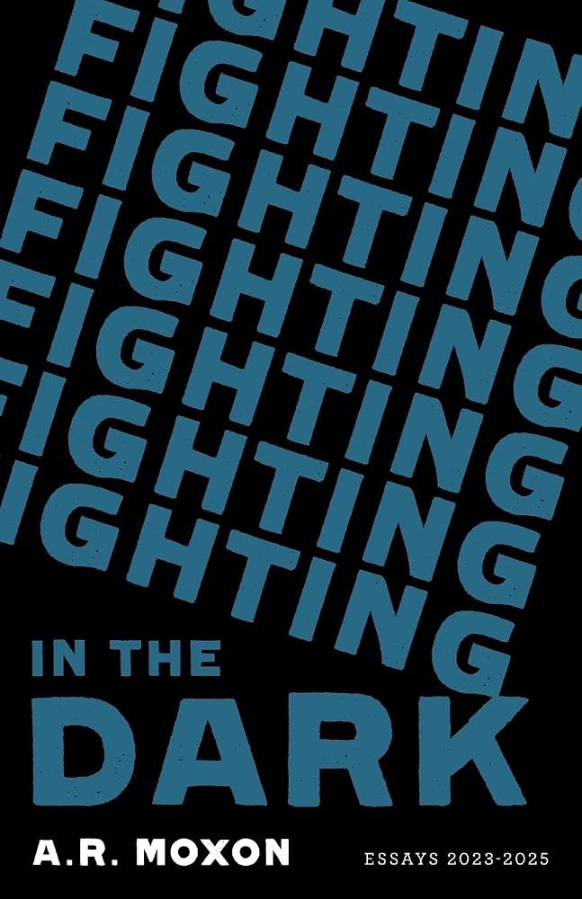 Fighting in the Dark cover image