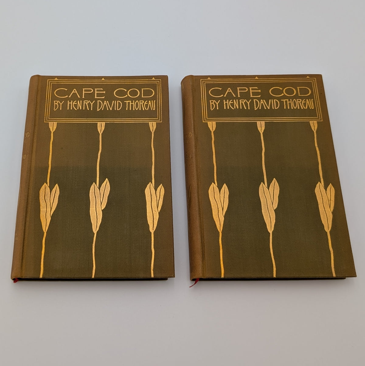 Cape Cod – Henry David Thoreau – 2‑Volume Illustrated Set (Houghton Mifflin, c.1896) – Decorative Gilt Cloth – Hinges Starting