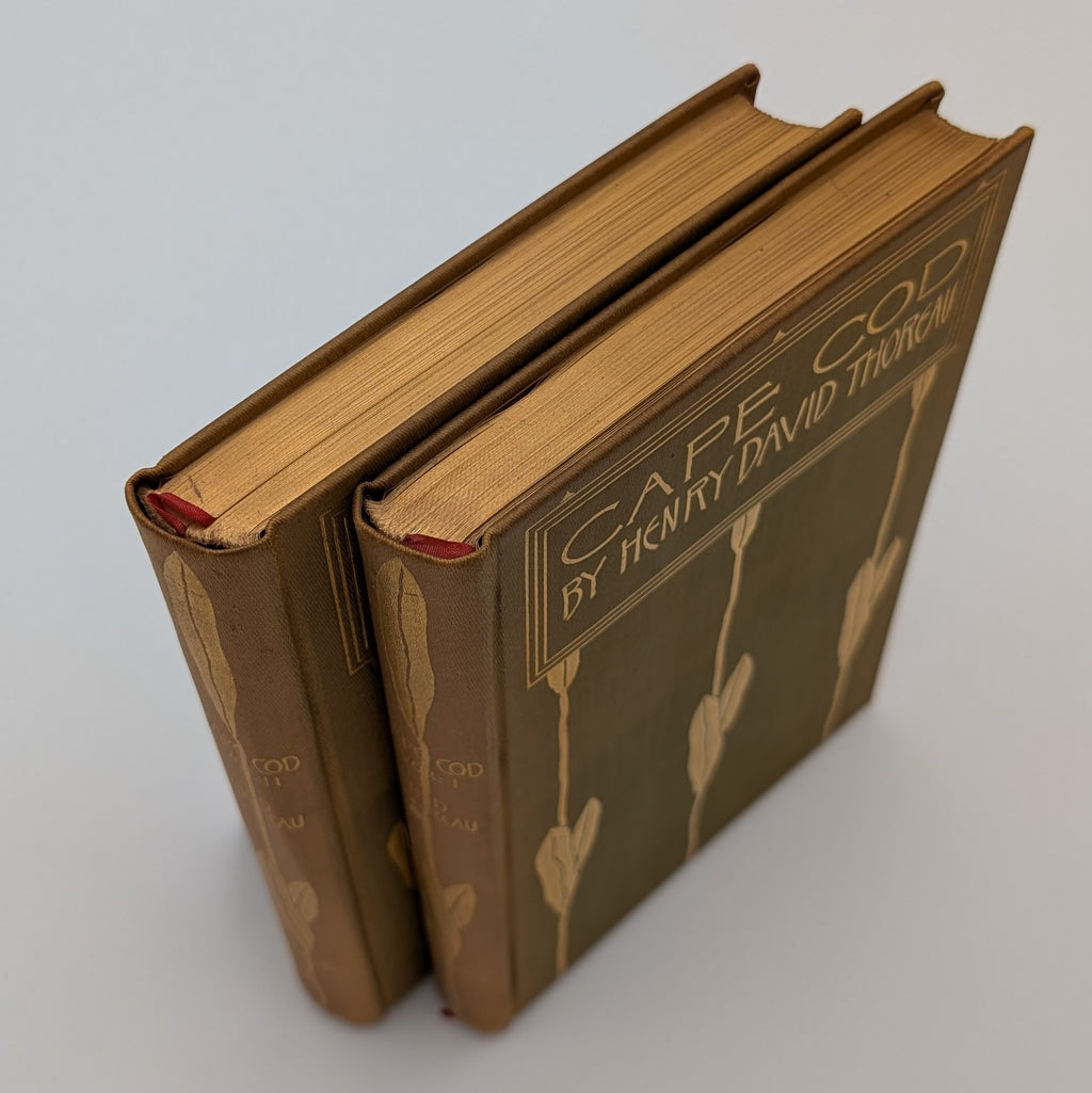 Cape Cod – Henry David Thoreau – 2‑Volume Illustrated Set (Houghton Mifflin, c.1896) – Decorative Gilt Cloth – Hinges Starting