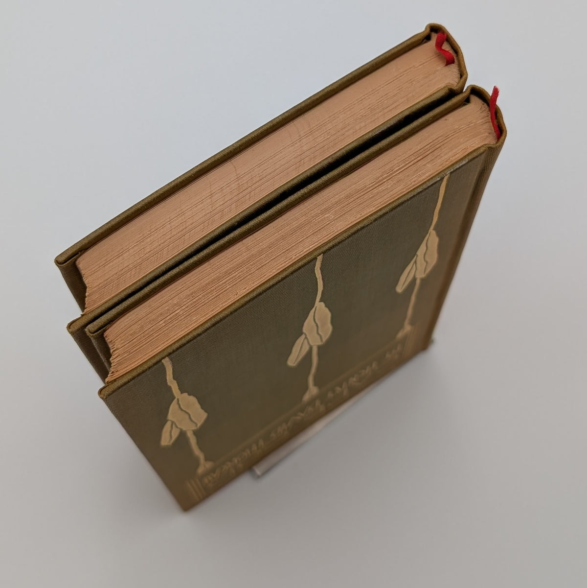Cape Cod – Henry David Thoreau – 2‑Volume Illustrated Set (Houghton Mifflin, c.1896) – Decorative Gilt Cloth – Hinges Starting