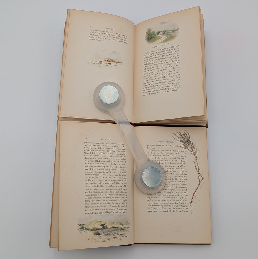 Cape Cod – Henry David Thoreau – 2‑Volume Illustrated Set (Houghton Mifflin, c.1896) – Decorative Gilt Cloth – Hinges Starting