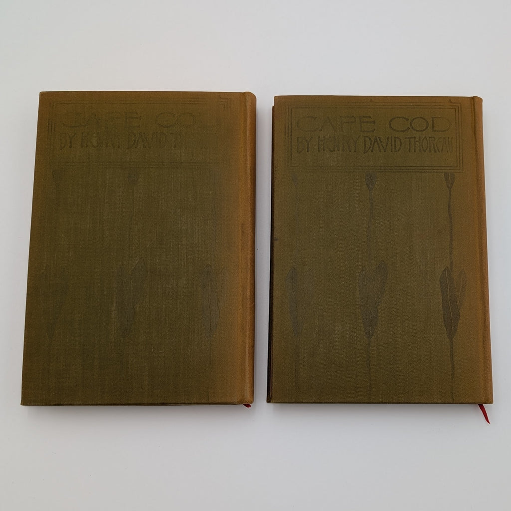 Cape Cod – Henry David Thoreau – 2‑Volume Illustrated Set (Houghton Mifflin, c.1896) – Decorative Gilt Cloth – Hinges Starting