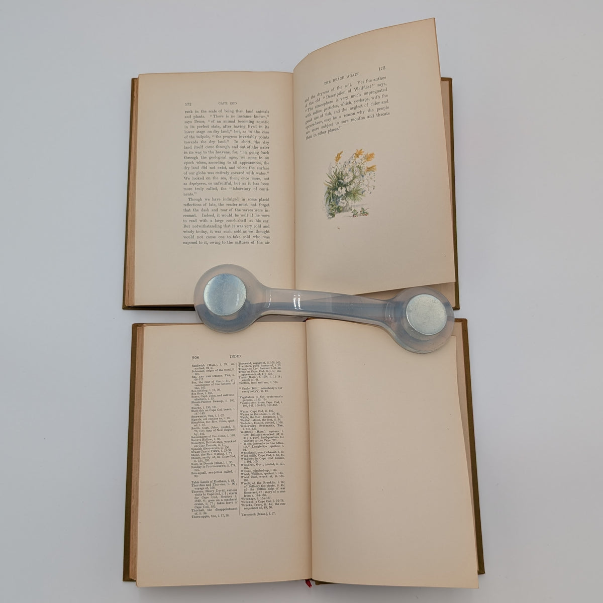 Cape Cod – Henry David Thoreau – 2‑Volume Illustrated Set (Houghton Mifflin, c.1896) – Decorative Gilt Cloth – Hinges Starting