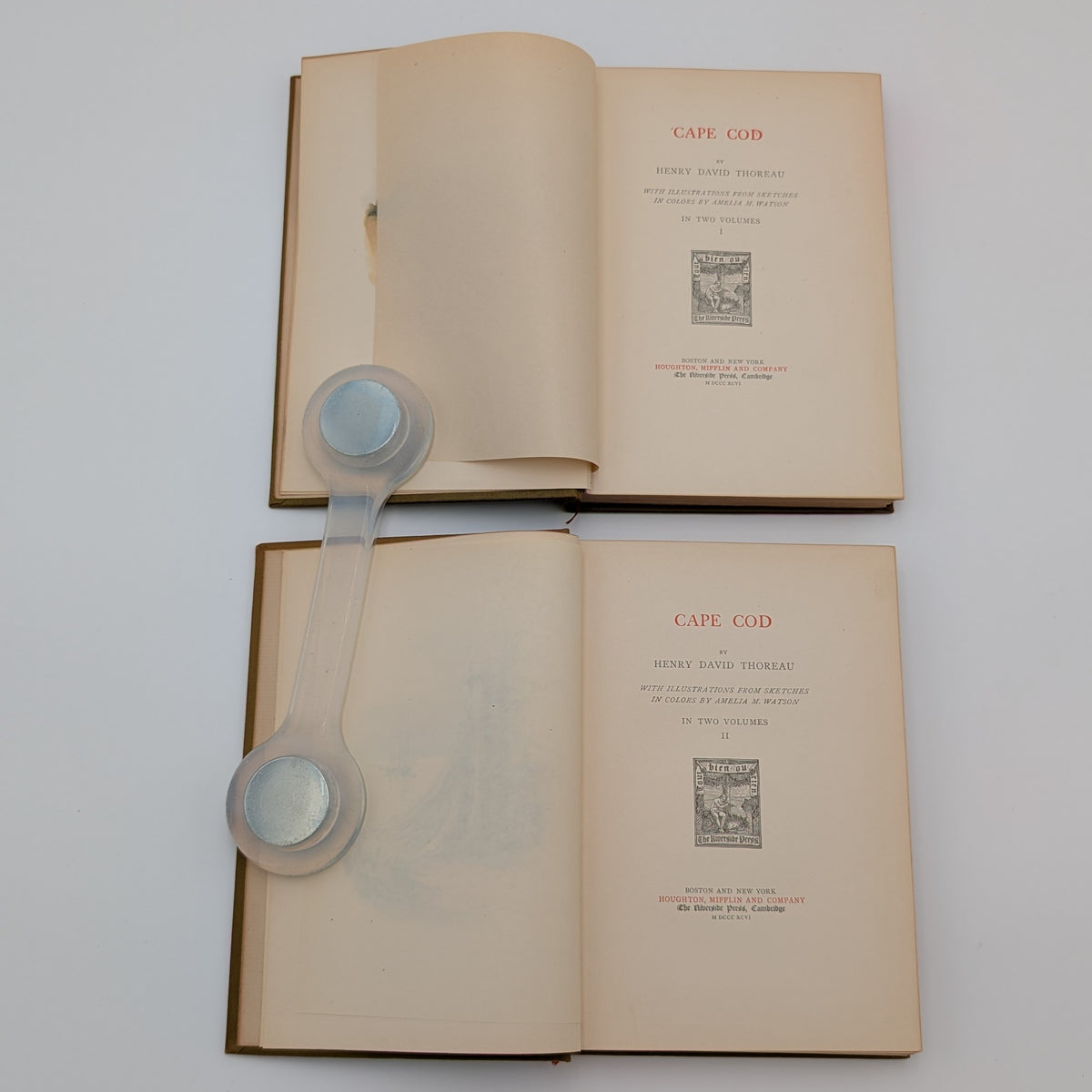 Cape Cod – Henry David Thoreau – 2‑Volume Illustrated Set (Houghton Mifflin, c.1896) – Decorative Gilt Cloth – Hinges Starting