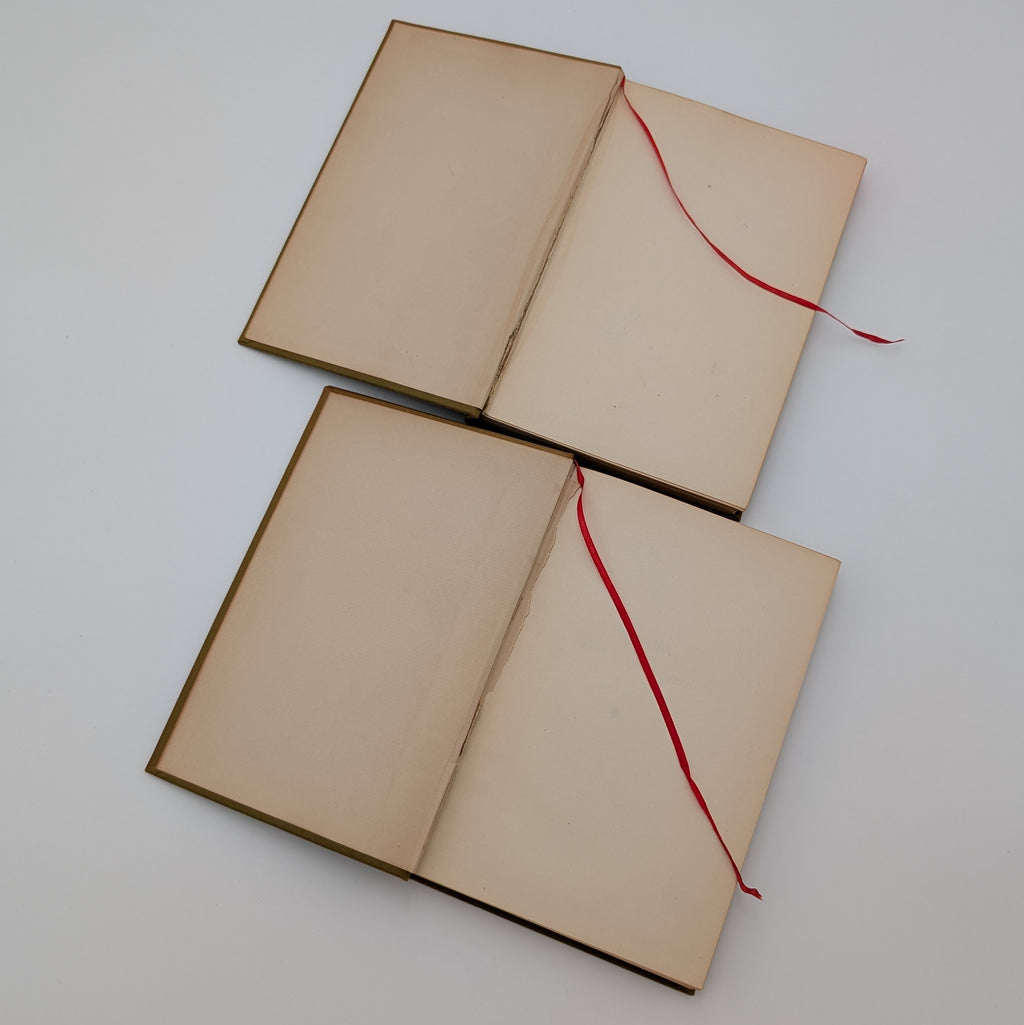 Cape Cod – Henry David Thoreau – 2‑Volume Illustrated Set (Houghton Mifflin, c.1896) – Decorative Gilt Cloth – Hinges Starting