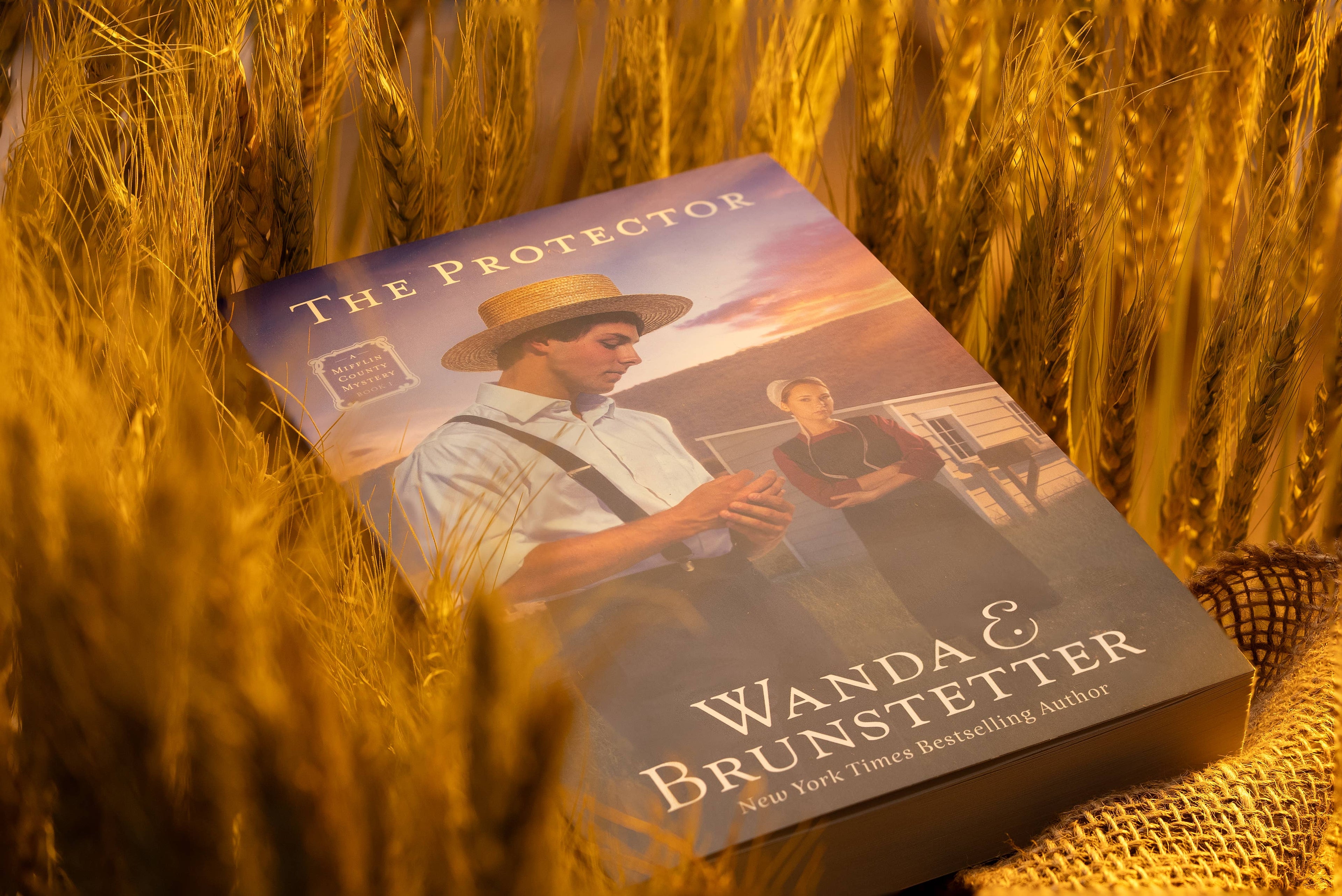The Protector : A Mifflin County Mystery - Book 1