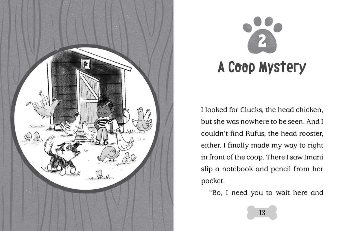 Bo Hatches a Plan by Cam Higgins: Hardcover; 128 pages / English