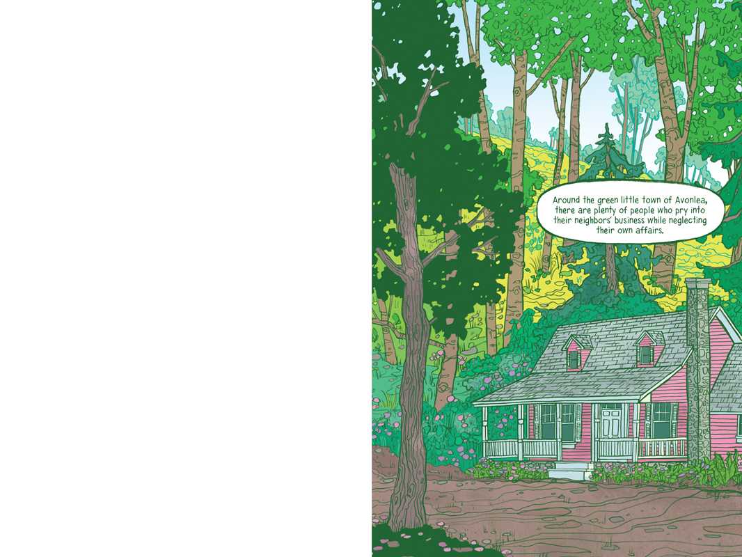 Graphic Novel Classics: The Secret Garden, Anne of Green Gables, and Heidi by Mariah  Marsden: Paperback; 584 pages / English