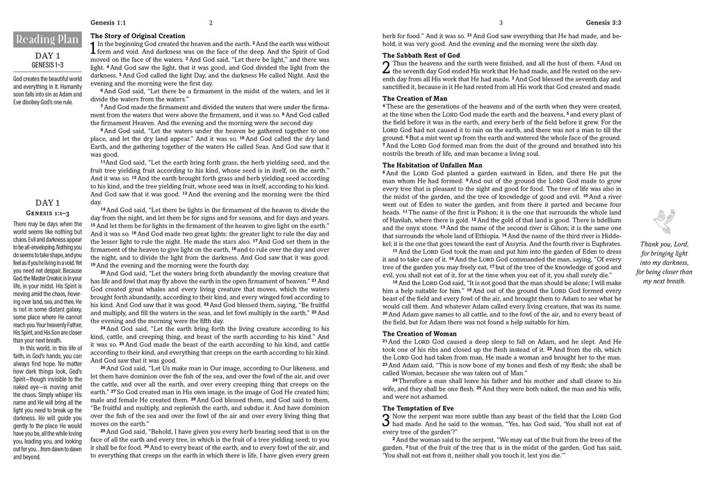 The Hope & Healing Devotional Bible [Dark Sage Doves]