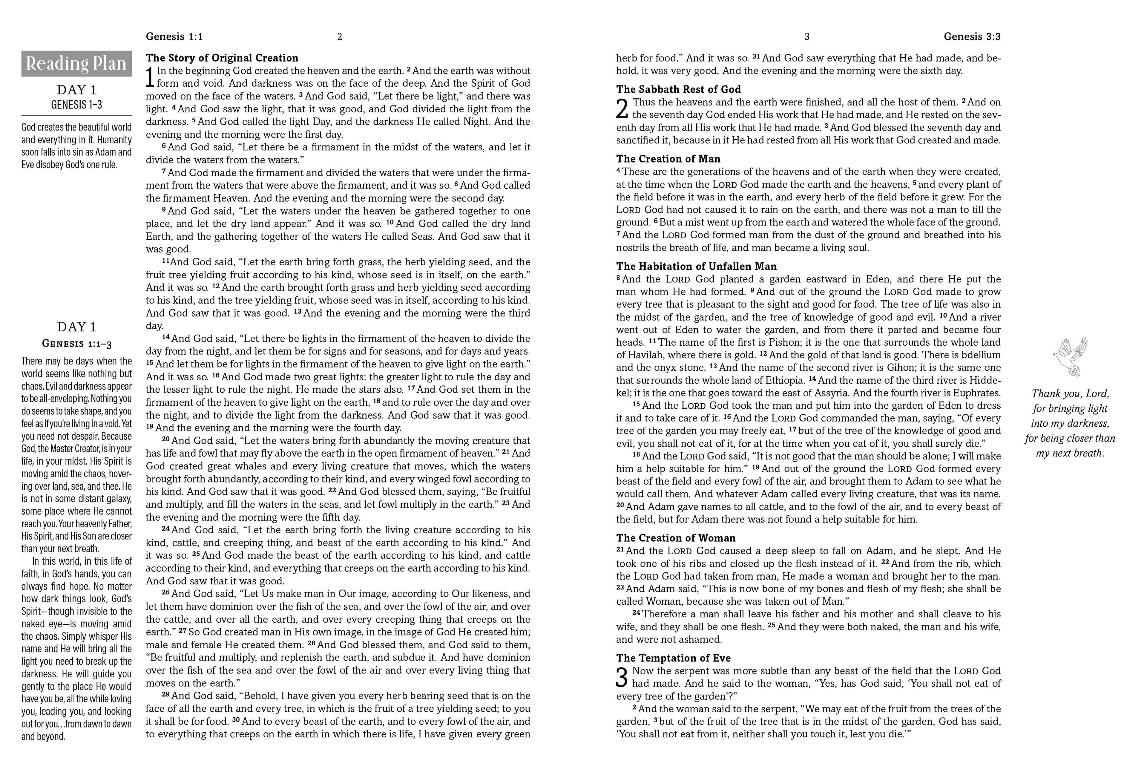 The Hope & Healing Devotional Bible [Dark Sage Doves]
