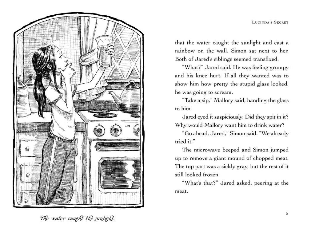 Lucinda's Secret by Tony DiTerlizzi: Paperback; 144 pages / English