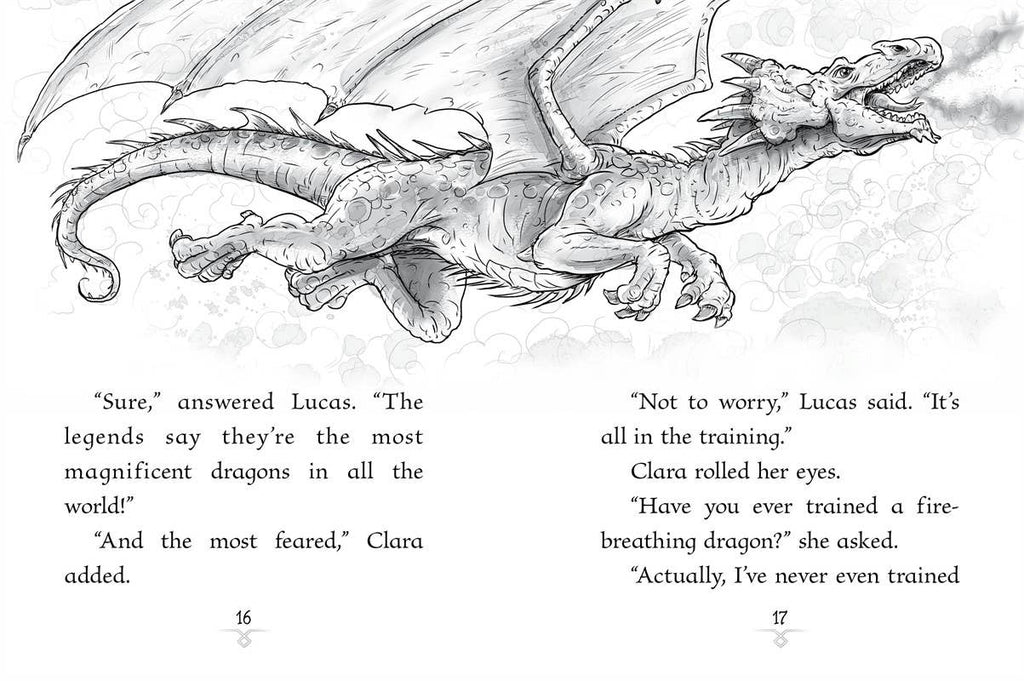Scarlet Dragon by Jordan Quinn: Paperback; 128 pages / English