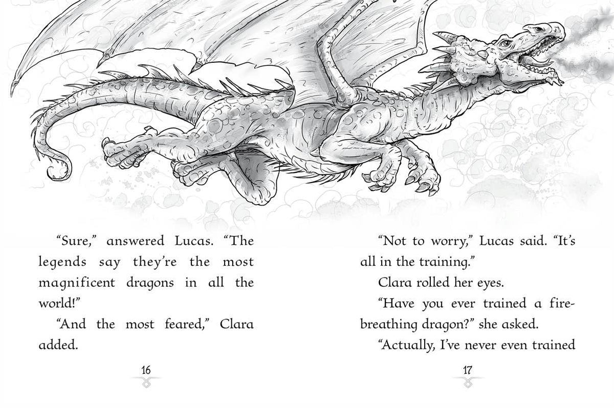 Scarlet Dragon by Jordan Quinn: Paperback; 128 pages / English