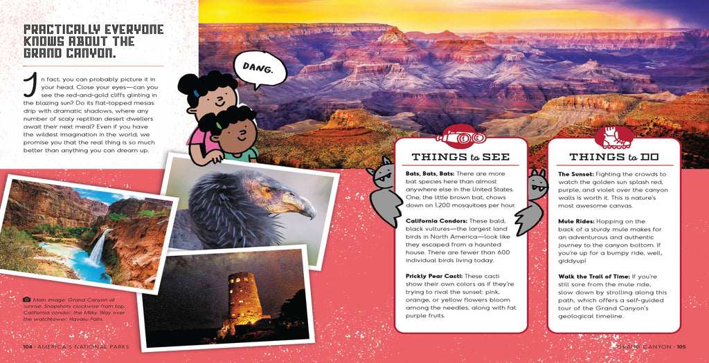America's National Parks: Hardcover