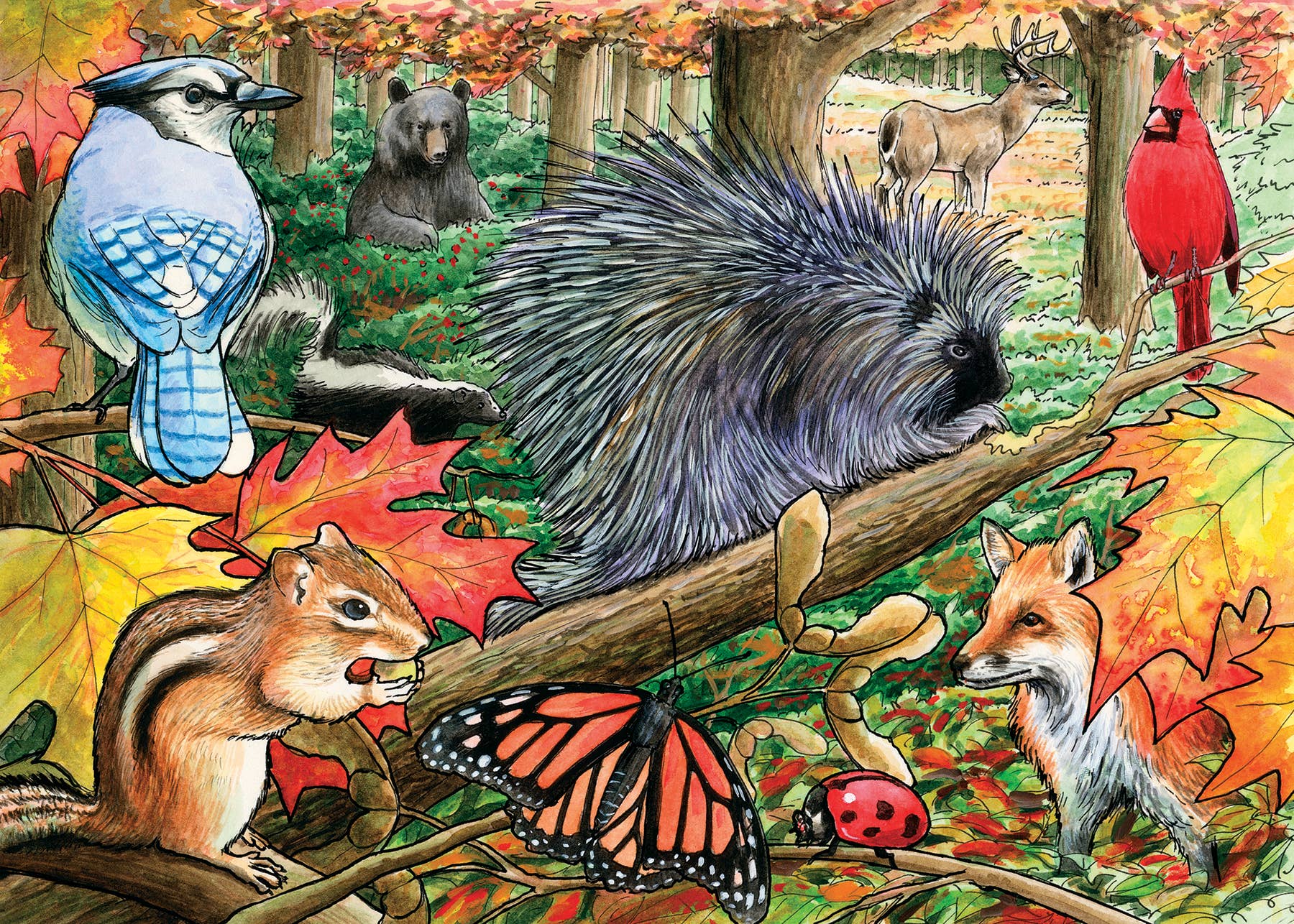 Eastern Woodlands (tray) 35pc puzzle