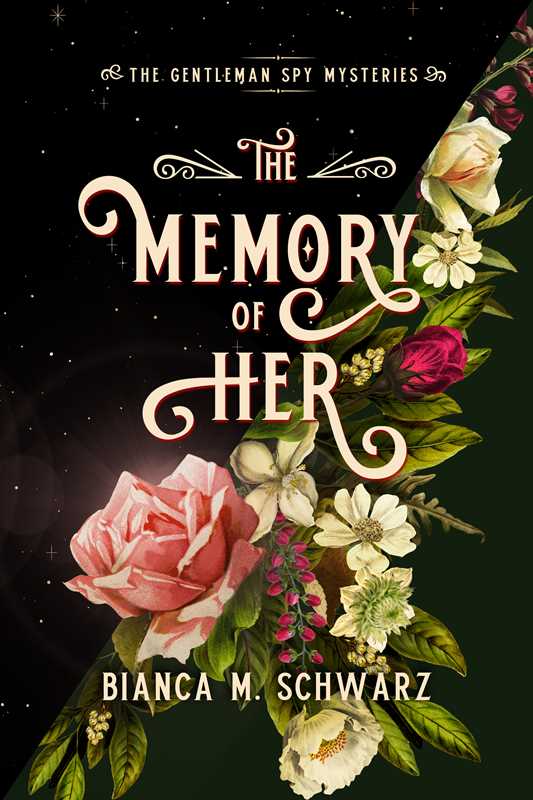 Memory of Her by Bianca  M. Schwarz: Paperback; 288 pages / English