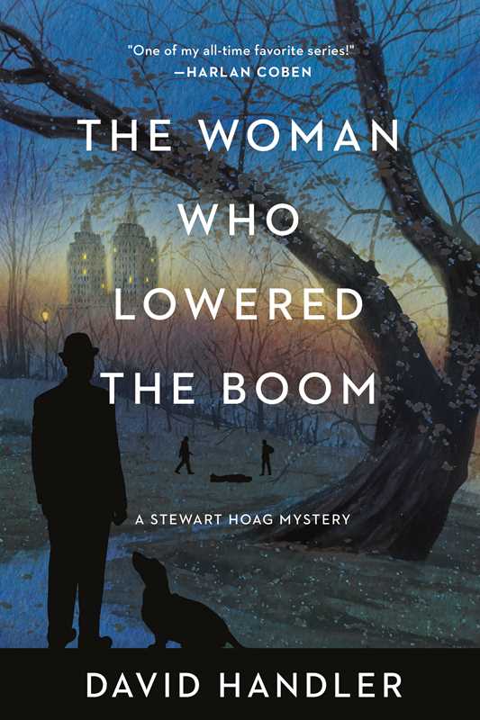 Woman Who Lowered the Boom   by David Handler: Hardcover; 284 pages / English