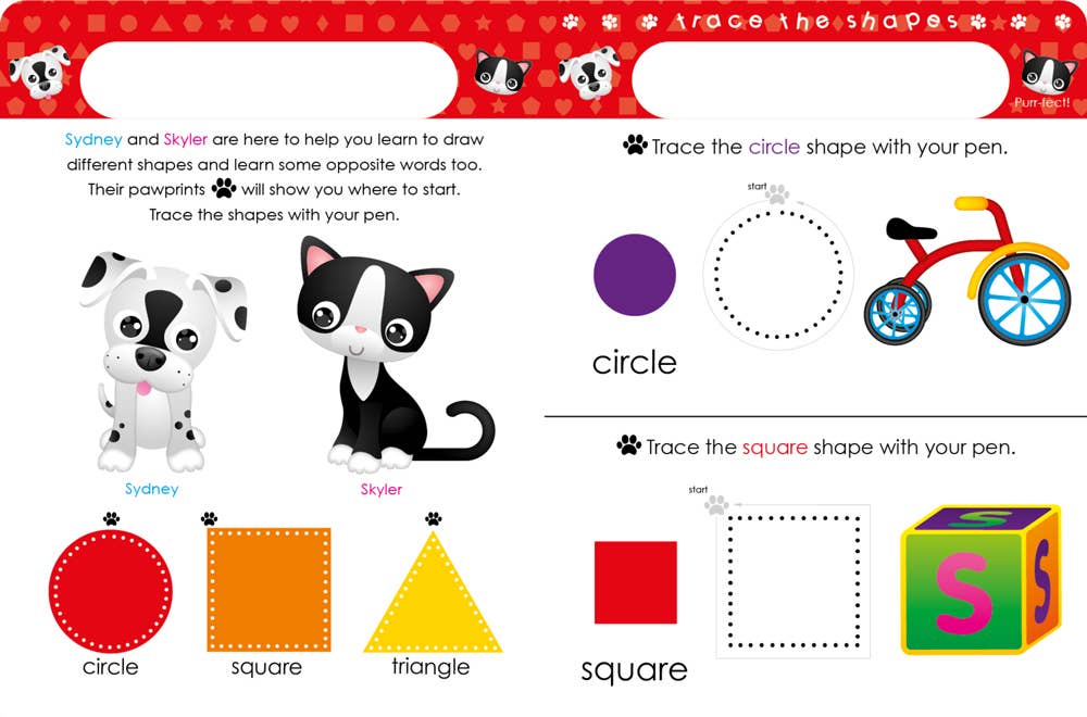 Write & Wipe Shapes, Opposites & More