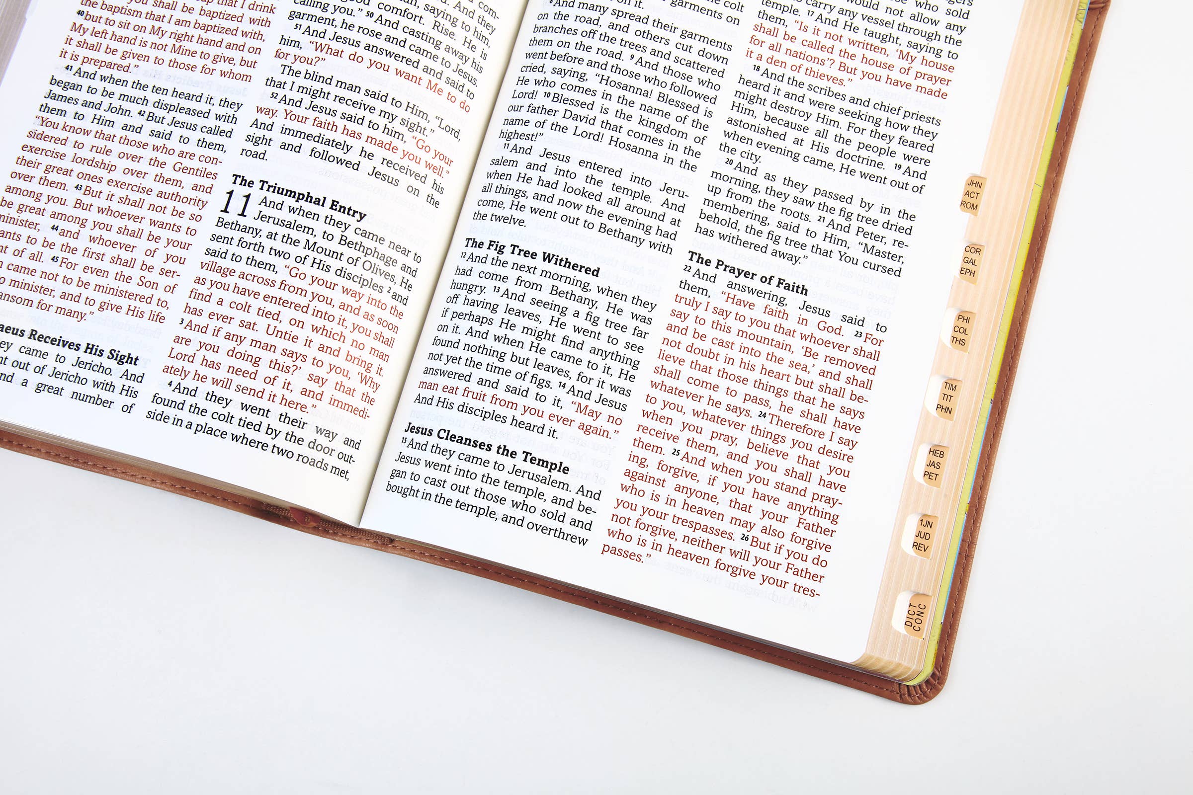 The Barbour Simplified KJV--Large Print [Rust & Stone Cross]