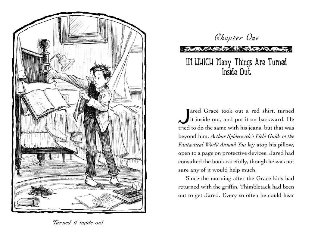 Lucinda's Secret by Tony DiTerlizzi: Hardcover; 128 pages / English