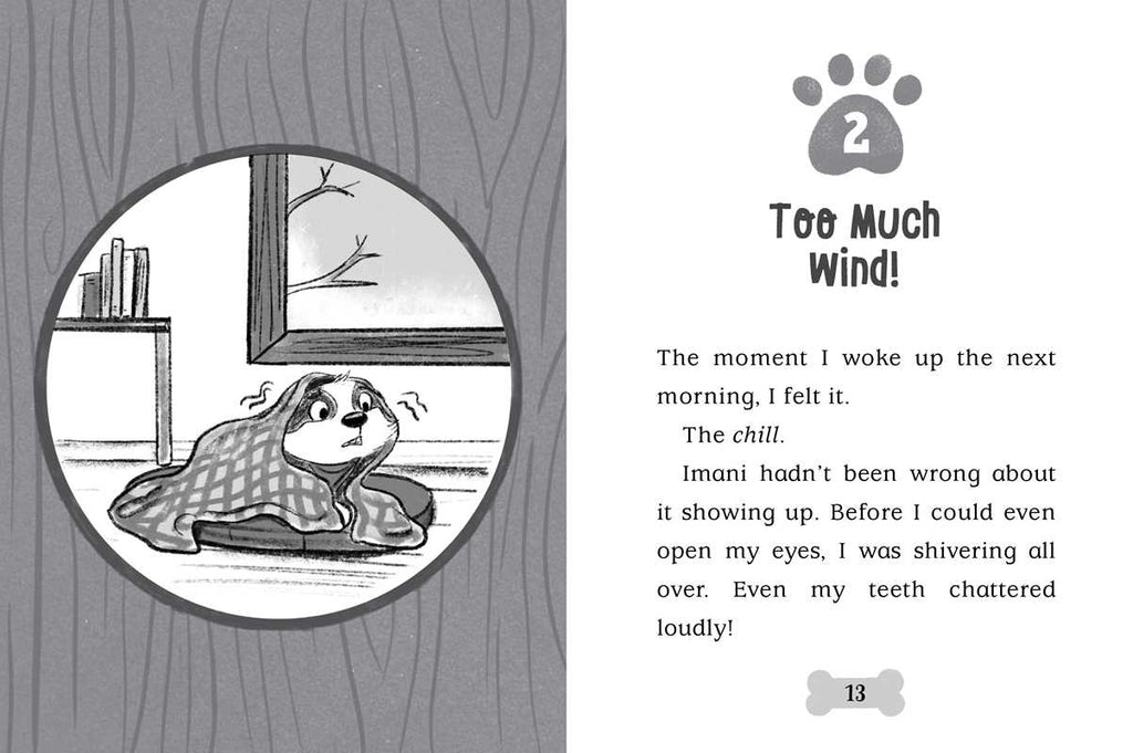 Snow Show by Cam Higgins: Hardcover; 128 pages / English