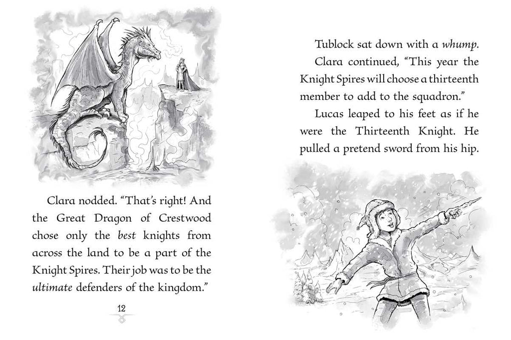 Thirteenth Knight by Jordan Quinn: Paperback; 128 pages / English