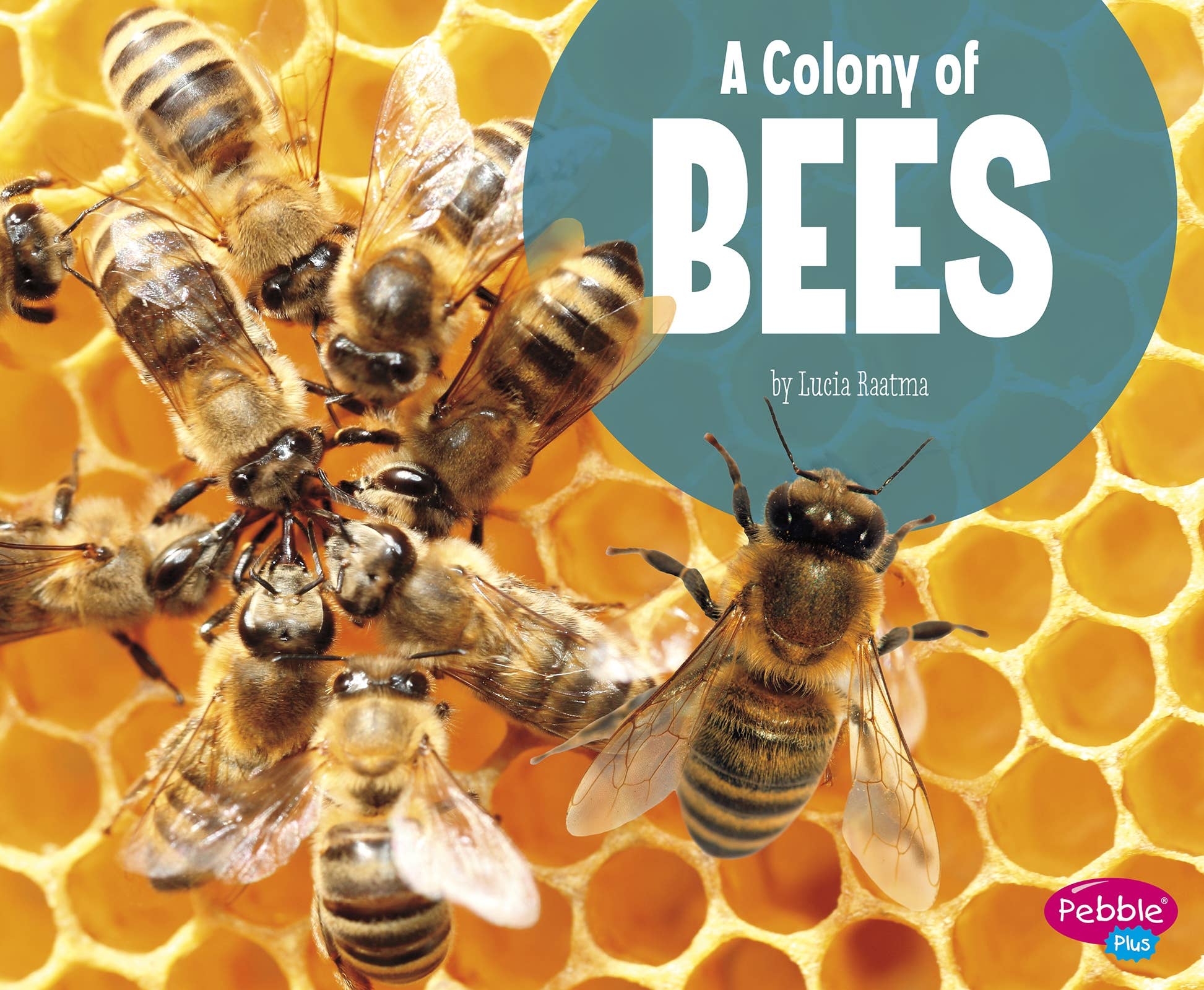 A Colony of Bees - Kids' Educational Book: Paperback / 24