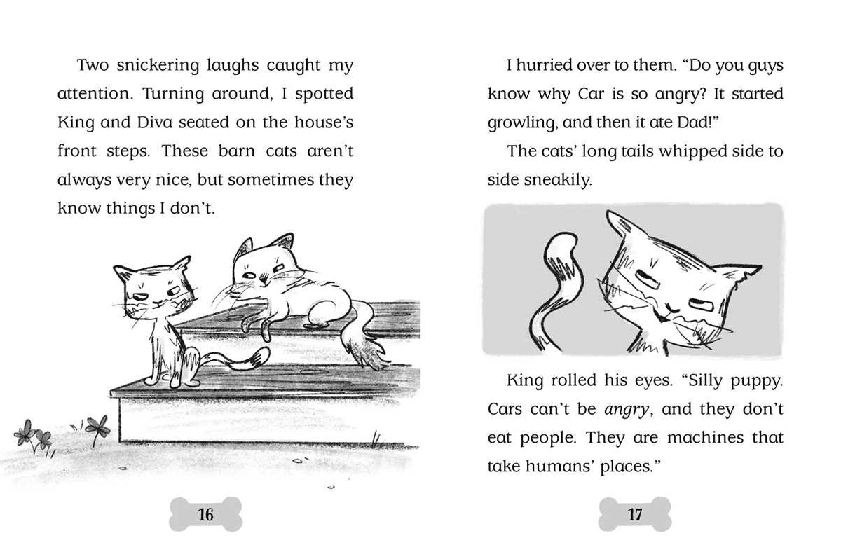 Beach Paws by Cam Higgins: Paperback; 128 pages / English