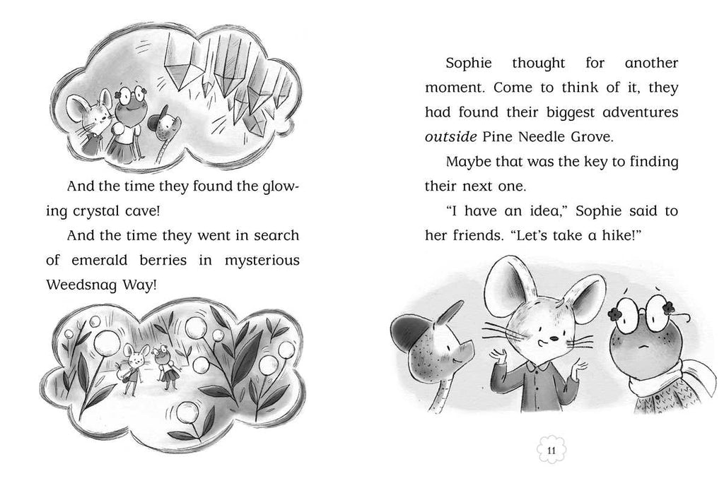 Hidden Cottage by Poppy Green: Paperback; 128 pages / English