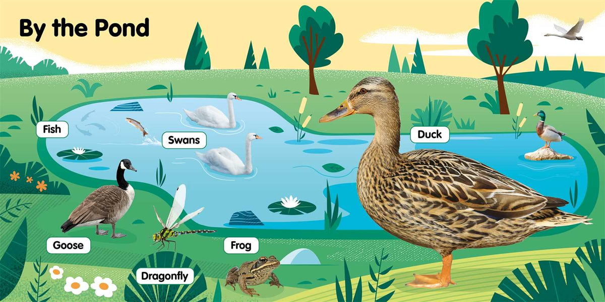 Super Soft Farm Animals by IglooBooks: Board Books; 10 pages / English