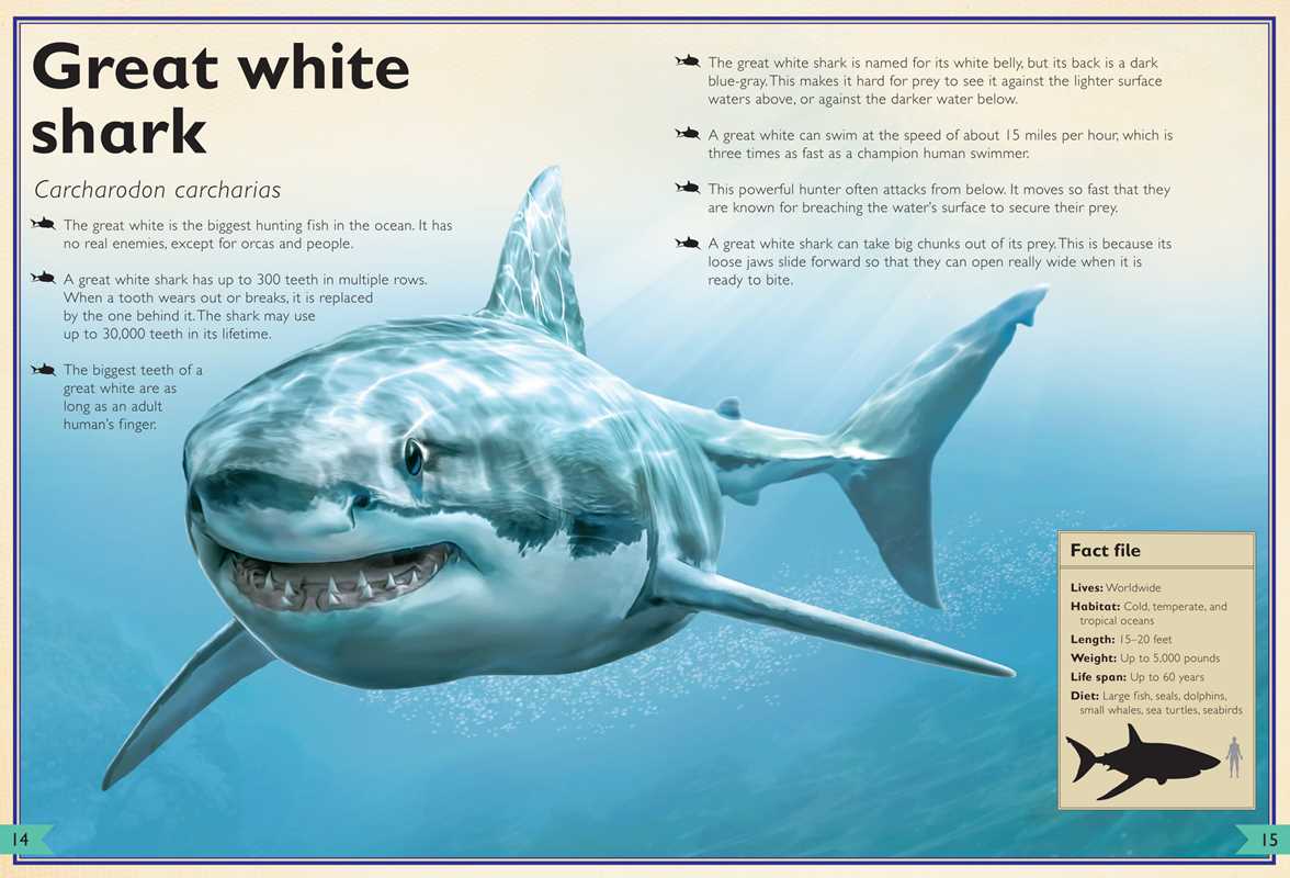 Magnificent Book of Sharks by Barbara Taylor: Hardcover; 80 pages / English