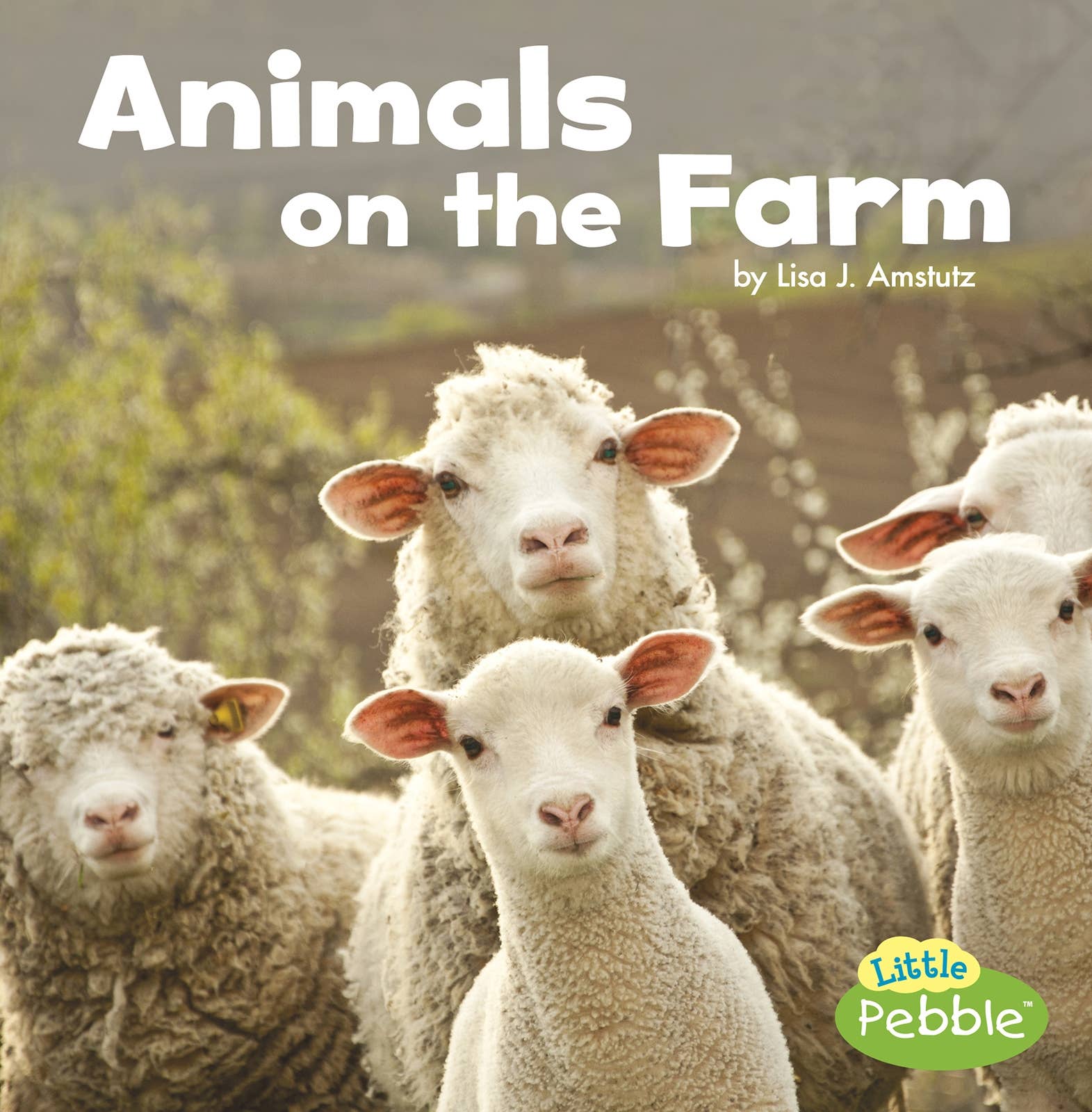 Animals on the Farm: Paperback / 24