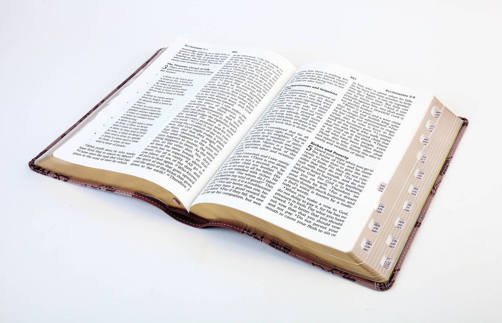 Barbour Simplified KJV--Large Print [Plum & Paisley]