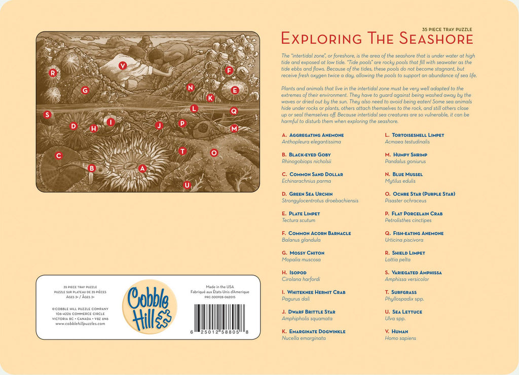 Exploring the Seashore (tray) 35pc puzzle